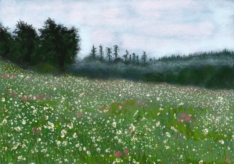 A digital painting of a flower field. In the background you see the silhouettes of trees. It's foggy there.